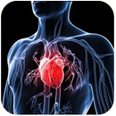 أمراض القلب و الشرايين APK
