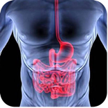 علاج أمراض القولون