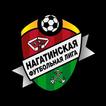 Нагатинская Футбольная Лига
