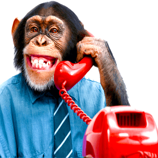 Phone Jokes and Pranks