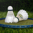 Papan Skor - Badminton icon