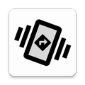 Vibration Compass