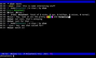 Terminal screenshot 3