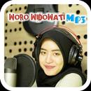 Dalan Liyane - Woro Widowati Mp3 Offline APK