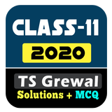 Icona Account Class-11 Solutions