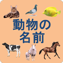 Animals names in Japanese APK