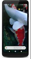 Japanese Koi Fish Wallpaper gönderen