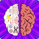 Brain Hack - Mental Test