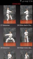 KARATE SHITO-RYU 8 Affiche