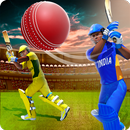 World Cricket Champion APK