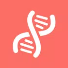 JDNA (교회학교 영적부흥, 부흥지원센타, 어캠, 박연훈목사 설교, SB몸찬양) ícone