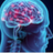 Memory APK