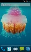 Jellyfish Video Live Wallpaper Affiche