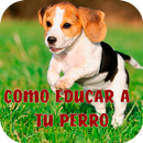 Como Adiestrar a un Perro - Ed APK