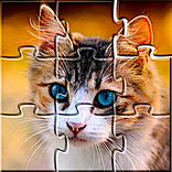 ”Jigsaw Puzzles Collections