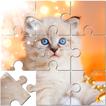 ”Jigsaw Puzzle Mania: Mind Game