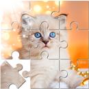 Jigsaw Puzzle Mania APK
