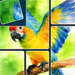 Jigsaw Solitaire Sort Puzzle icon