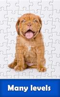 Jigsaw Puzzle ảnh chụp màn hình 2