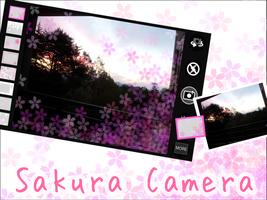 Sakura Camera Poster