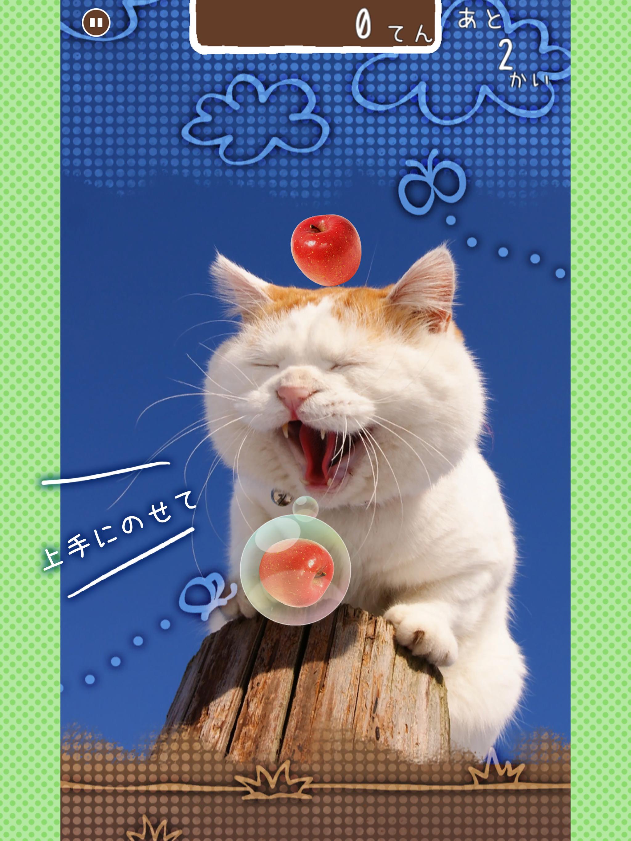 のせて のせ猫 For Android Apk Download