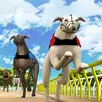 Simple Greyhound Racing APK