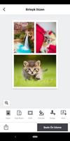 SELPHY Photo Layout Ekran Görüntüsü 1