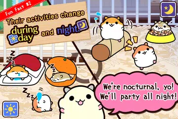 download hamster collection APK