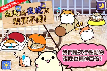 倉鼠系列◆免費放置型寵物飼養遊戲！和可愛的貓咪一同觀賞吧。 APK 下載