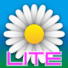 Voice of DAISY LITE icon