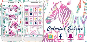 Colorful Zebras Theme +HOME