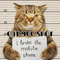 Cat Mug Shot Thema +HOME