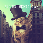 Cat  Theme-Feline Gentleman- icône