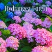 Hydrangea Forest Theme