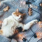 Fall Nap icône