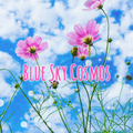 Blue Sky Cosmos Tema