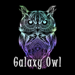 Galaxy Owl Thème +HOME
