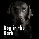 Wallpaper-Dog in the Dark- icône