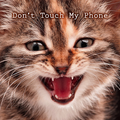 Don't Touch My Phone Theme