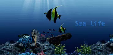 Sea Life Wallpaper Theme