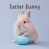 Easter Bunny Theme APK