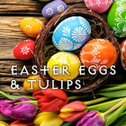 Easter Eggs & Tulips Theme icon
