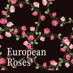 Elegant Theme-European Roses- 图标