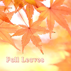 Fall Leaves Zeichen