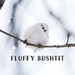 ”Fluffy Bushtit Theme