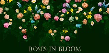 Classy Theme-Roses in Bloom-