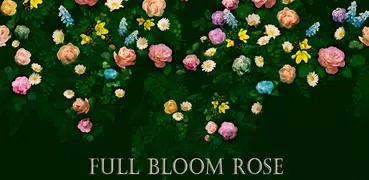 薔薇壁紙　FULL BLOOM ROSE