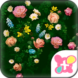 花的主題　盛開的玫瑰 APK