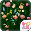 Classy Theme-Roses in Bloom-