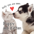 Puppy and Kitten icône